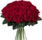 24 PCS Artificial Red Roses with Long Stems 20 Inch Realistic Silk Rose Flowers for Wedding Bouquet Valentine Party Home Table Centerpiece Decoration